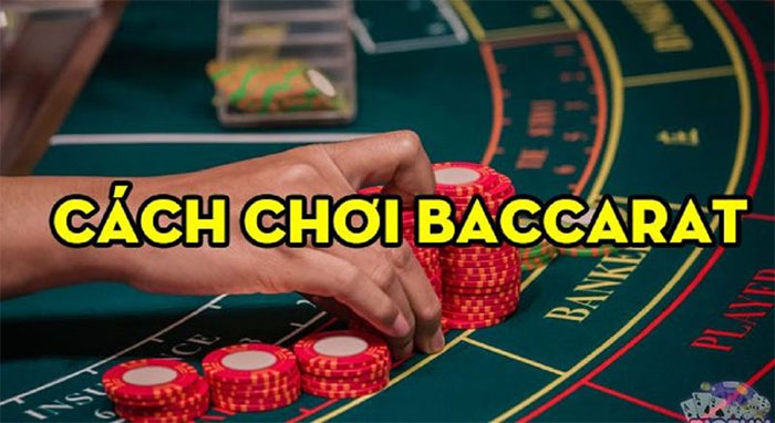 Kinh nghiệm chơi Baccarat cực hay từ các cao thủ